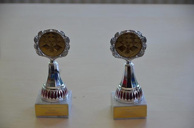 2013-06-Schach-Kids-Turnier-Klasse 3 und 4-178